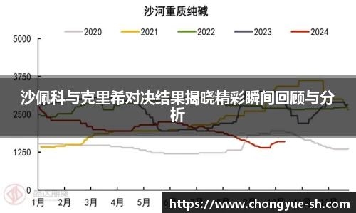 沙佩科与克里希对决结果揭晓精彩瞬间回顾与分析